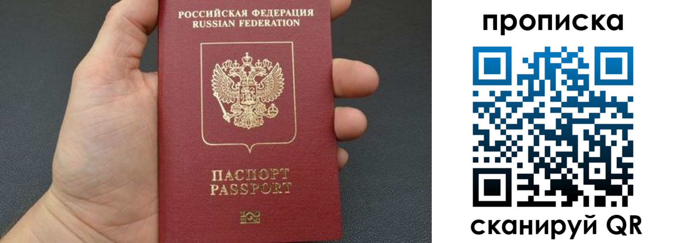временная прописка в Лыткарино
